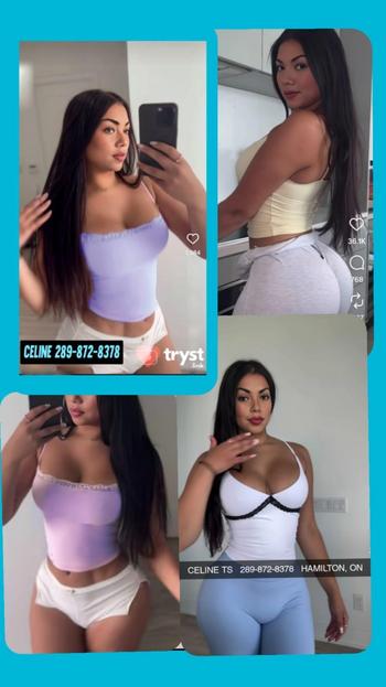 Celine, 31 Asian female escort, Hamilton